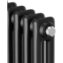 Стальной трубчатый радиатор Royal Thermo Insignia C2180 - 10 секций RAL9005m