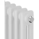 Стальной трубчатый радиатор Royal Thermo Insignia C2180 - 10 секций RAL9016