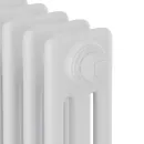 Стальной трубчатый радиатор Royal Thermo Insignia VC3180 - 10 секций RAL9016