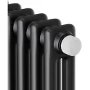Стальной трубчатый радиатор Royal Thermo Insignia VC2180 - 10 секций RAL9005m