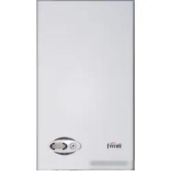 Отопительный котел Ferroli Divabel F24