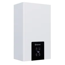 Отопительный котел Thermex Blaze FH24