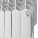 Биметаллический радиатор Royal Thermo Vittoria 350 VDR (6 секций)