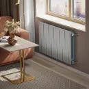 Биметаллический радиатор Royal Thermo PianoForte 500 Серебристый (12 секций)