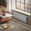 Биметаллический радиатор Royal Thermo PianoForte 300 /Silver Satin (14 секций) VDR