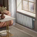 Биметаллический радиатор Royal Thermo PianoForte 300 /Silver Satin (12 секций) VDR