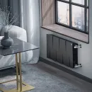 Биметаллический радиатор Royal Thermo PianoForte 300 /Noir Sable (8 секций)