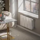 Биметаллический радиатор Royal Thermo PianoForte 300 /Bianco Traffico (8 секций)