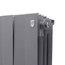 Биметаллический радиатор Royal Thermo PianoForte 200 /Silver Satin (16 секций)