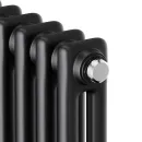 Дизайн-радиатор Royal Thermo Insignia C2180 (14 секций) RAL9005m