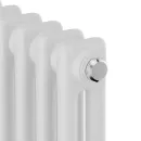 Дизайн-радиатор Royal Thermo Insignia C2180 (12 секций) RAL9016