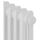 Стальной трубчатый радиатор Royal Thermo Insignia VC2180 - 04 секций RAL9016